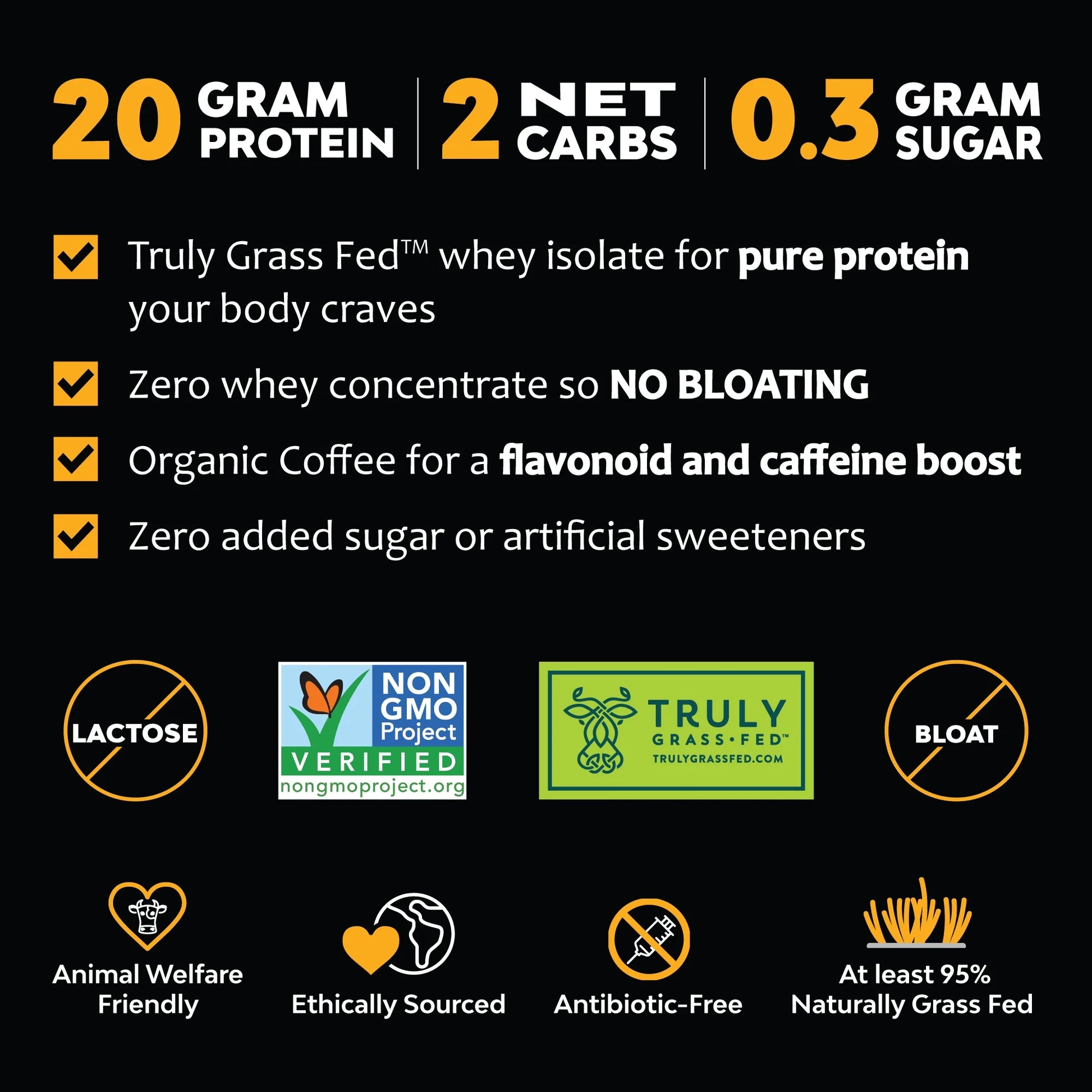 Protein Coffee Powder - Iced Café Mocha, 20G Grass Fed Whey, Workout Boost, Organic Espresso, Non-Gmo, 1 Lb